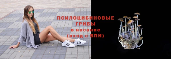 2c-b Арсеньев
