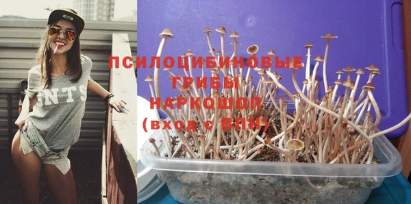 кокс Аркадак