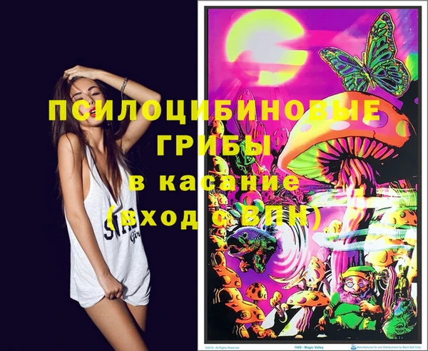кокс Аркадак