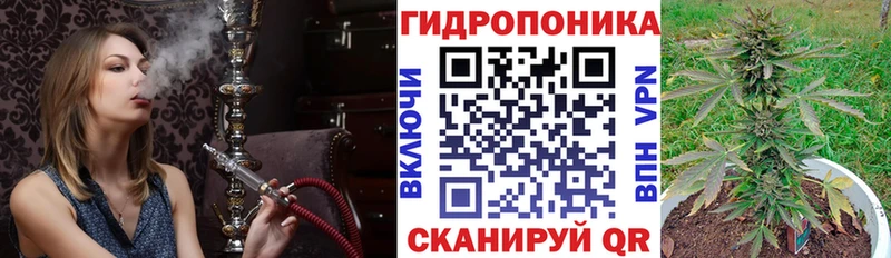 Конопля сатива  Купить  Сортавала 